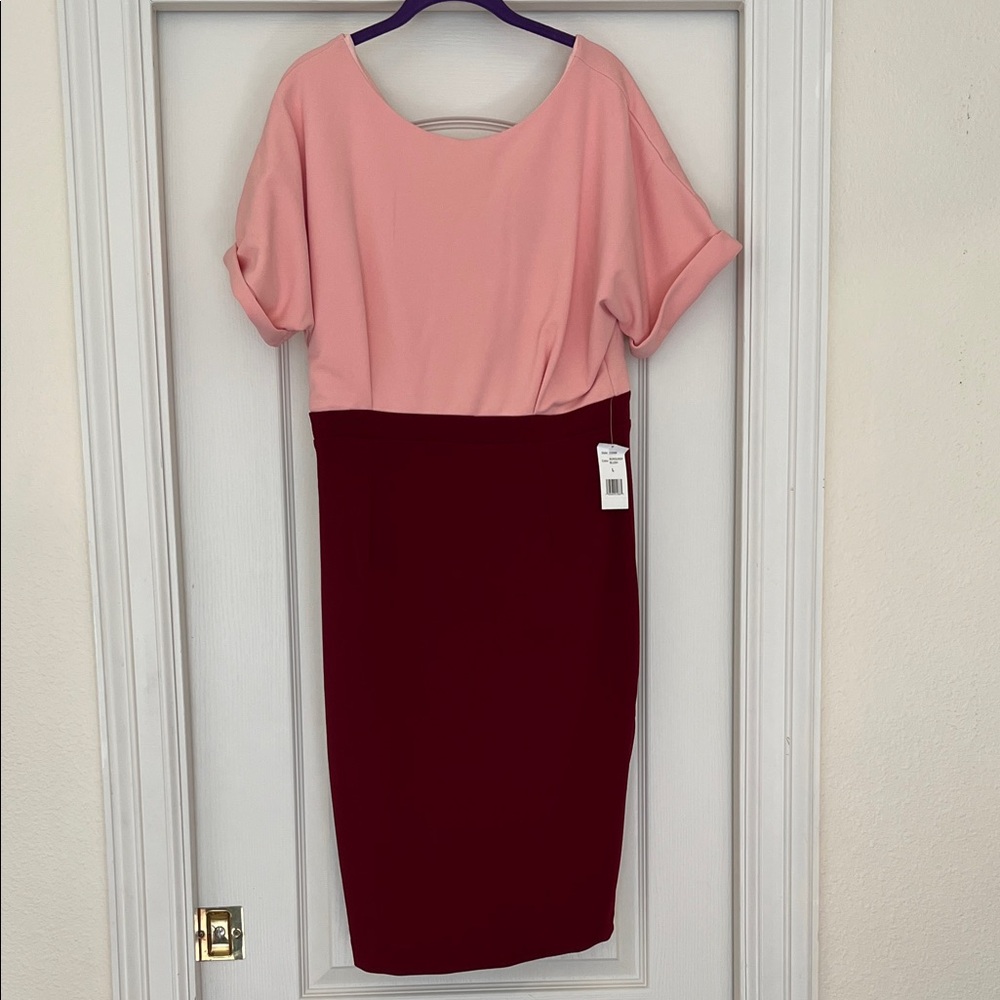 NWT Alexia Admor Burgundy/Blush Color block Dress